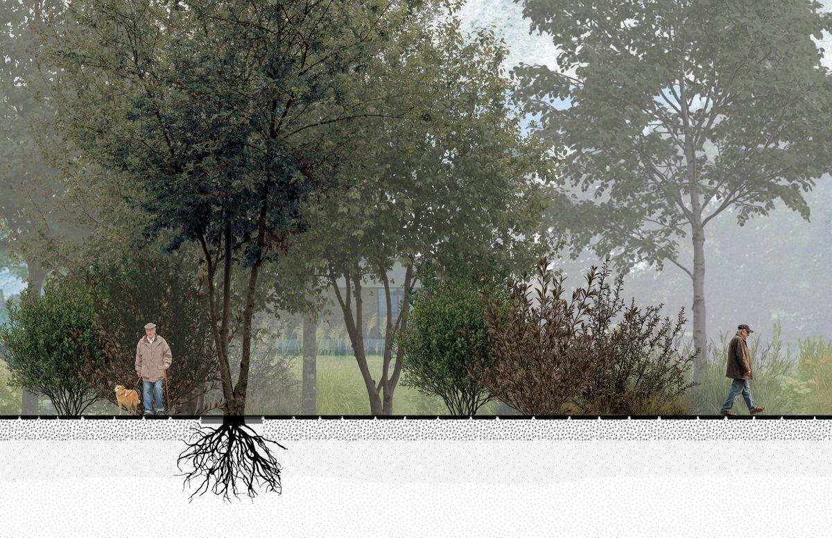 KnowltonOSU tweet media