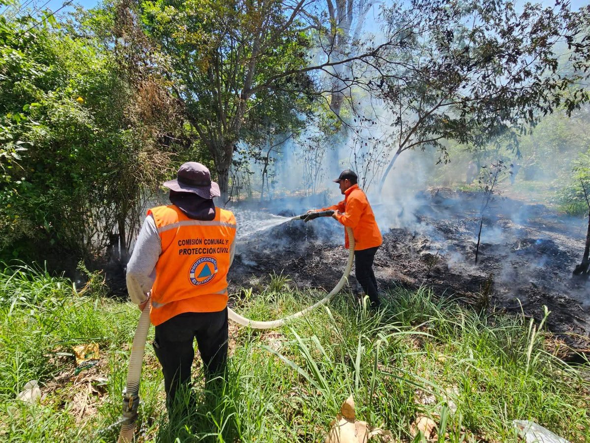 Occidente_ES | Diario El Salvador tweet media