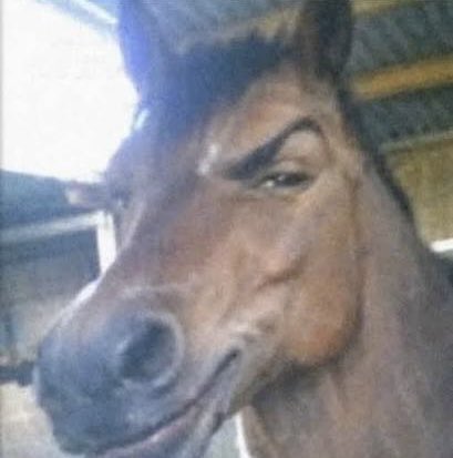 Kelson Roy😎🦦 tweet media