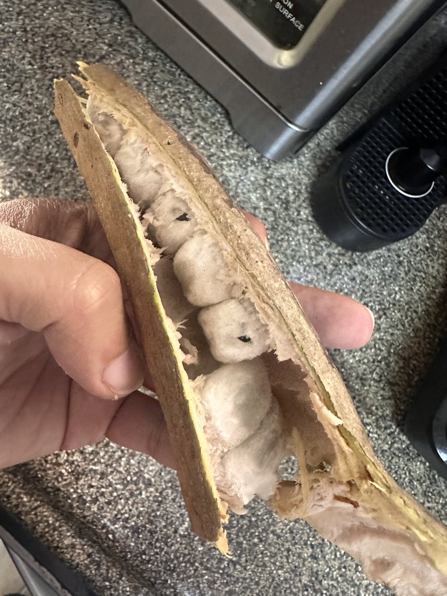 Alberto López Tom tweet media