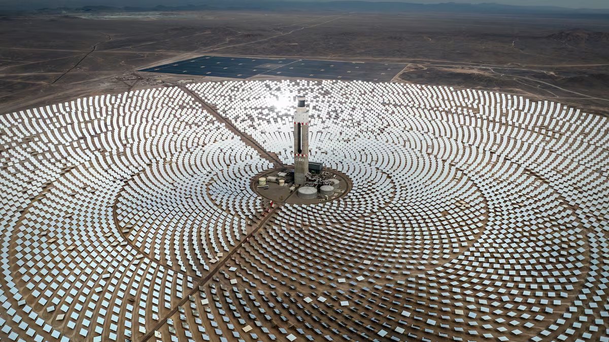 D'Angelo 4T tweet media