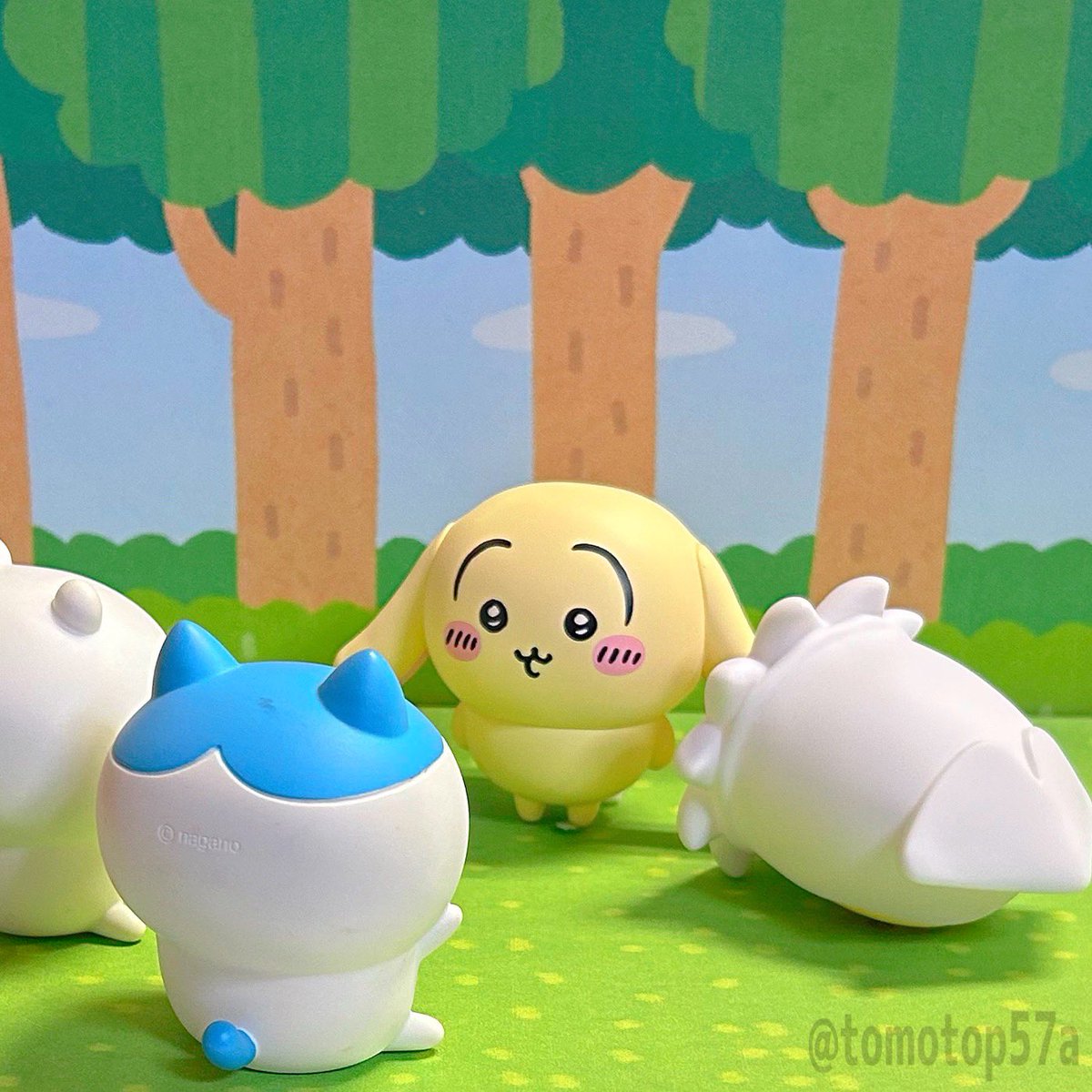 ハチワレ