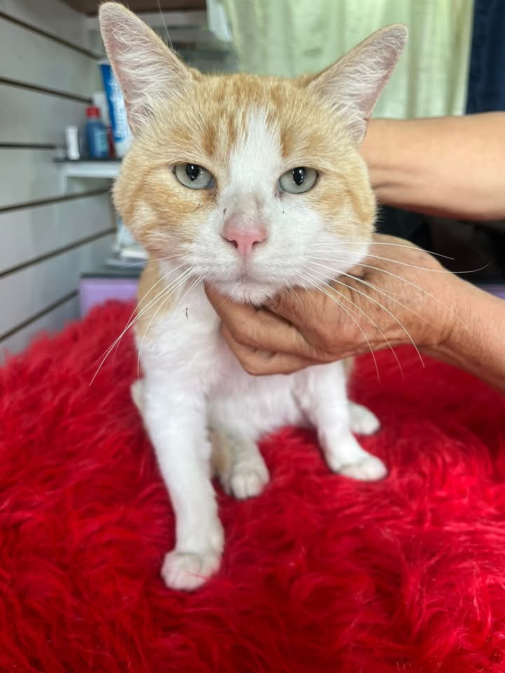 Jimena Torres ⭐️⭐️⭐️ tweet media