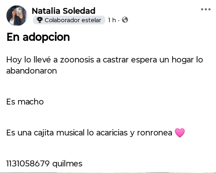 Jimena Torres ⭐️⭐️⭐️ tweet media