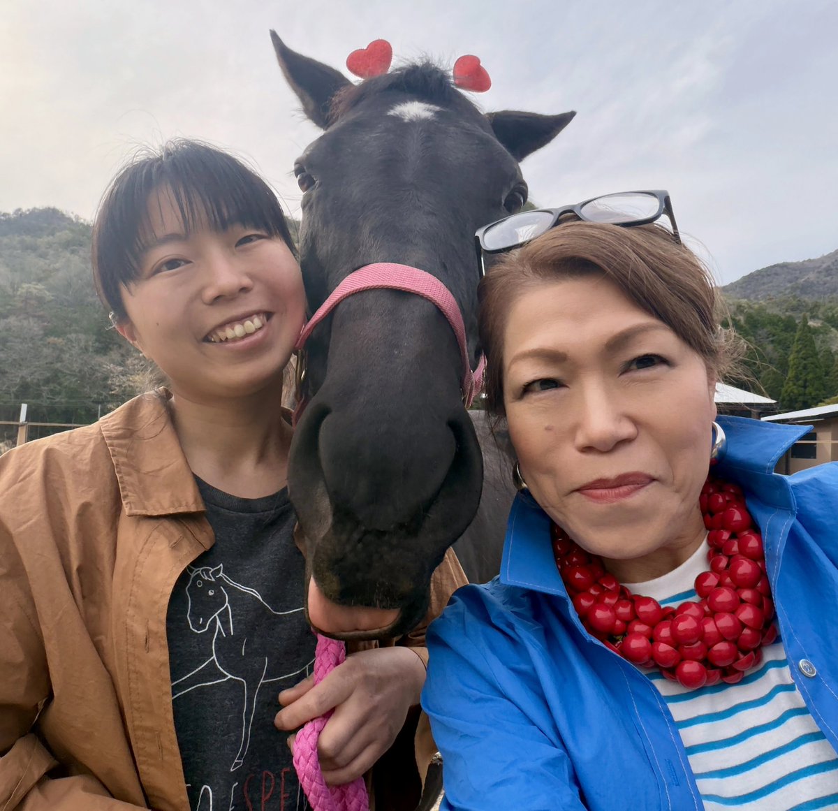 スペティ(元競走馬・スペシャルサンクス) tweet media