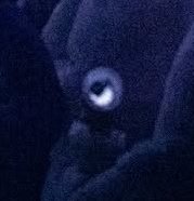 120126_leehan's tweet image. wait… I just noticed in #TAEHYUNG’s latest IG post there’s a ONEDOOR STICK in the crowd 😭 
#ONEDOOR #ARMY #BTS #BOYNEXTDOOR