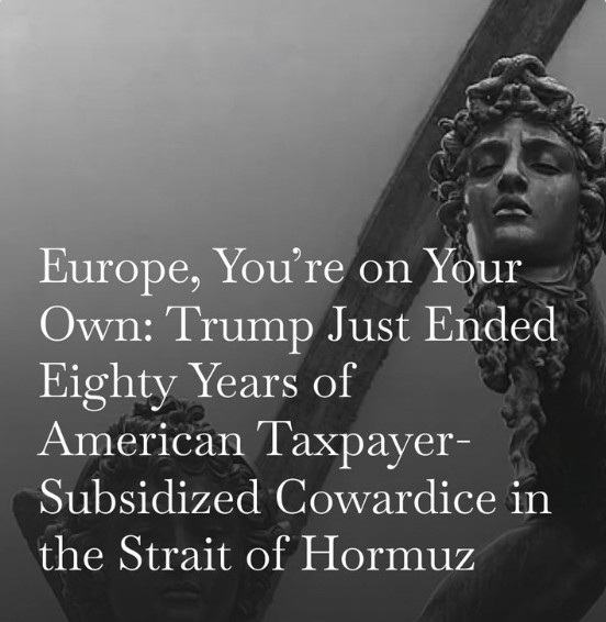 RogueSailor tweet media