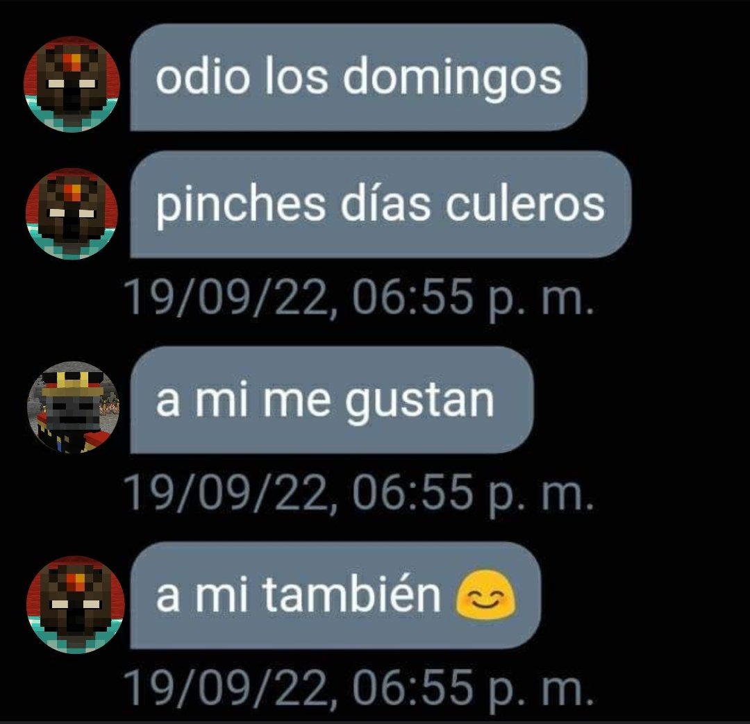 ceboshax 🧅 tweet media