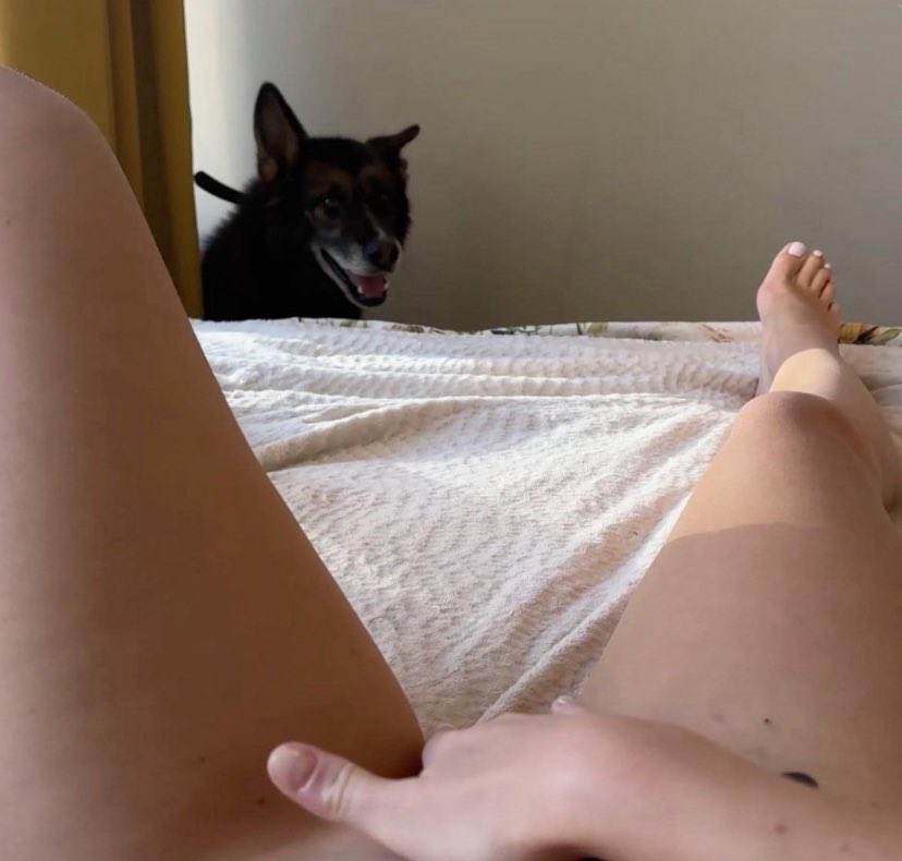 Q451841's tweet photo. Ask for menu explore more 🐶🐾🐴🌹 fun with my dogs on telegram get access to unlock over 5000 mega videos 📸 
https://t.co/dl1DgHDrzQ
Join my premium channel 🐶🐾 get live stream show face time call's much more exclusive package,https://t.co/awEUH8vv72… https://t.co/btk94eyDrU