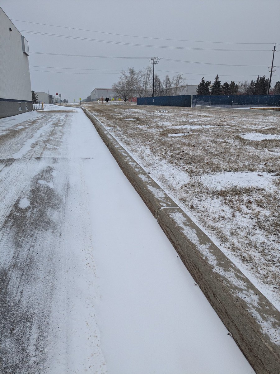 femgirled tweet media