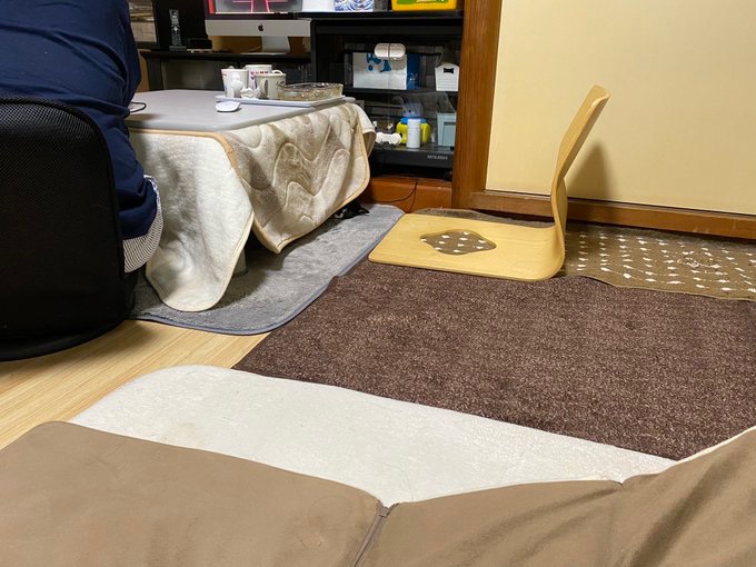 ソラネコさんち tweet media