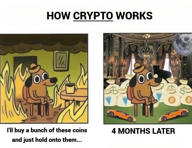 RUGDETECOR tweet media