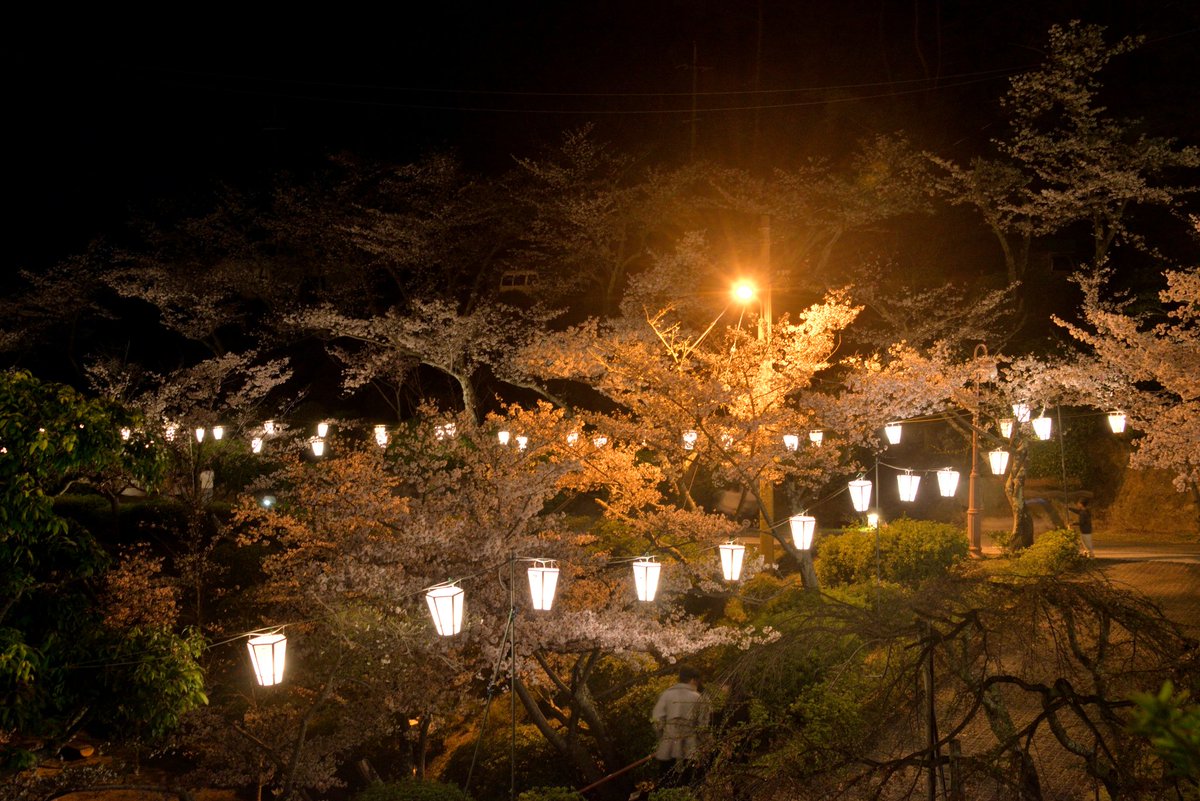 緒路案内所 in 尾道 tweet media