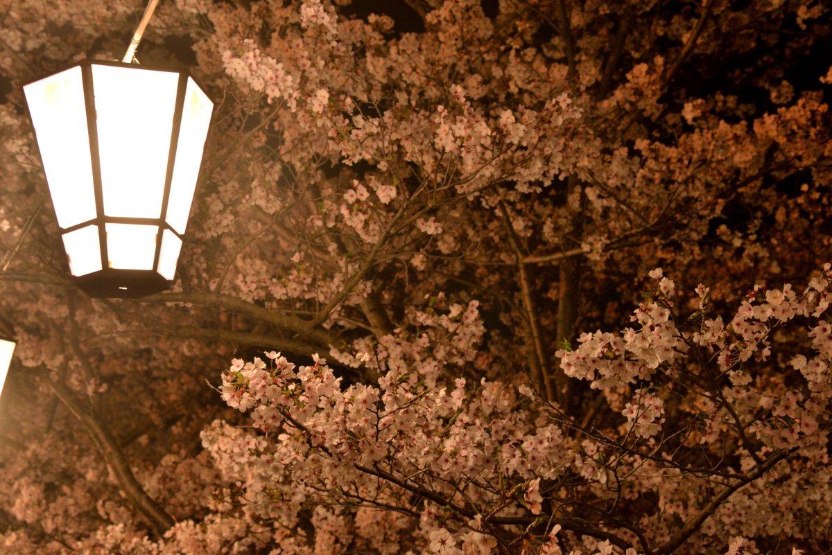 緒路案内所 in 尾道 tweet media