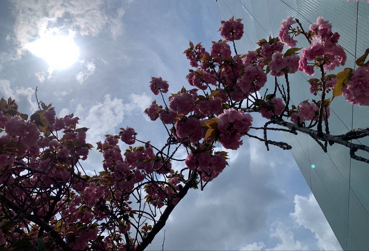 にっち。 tweet media