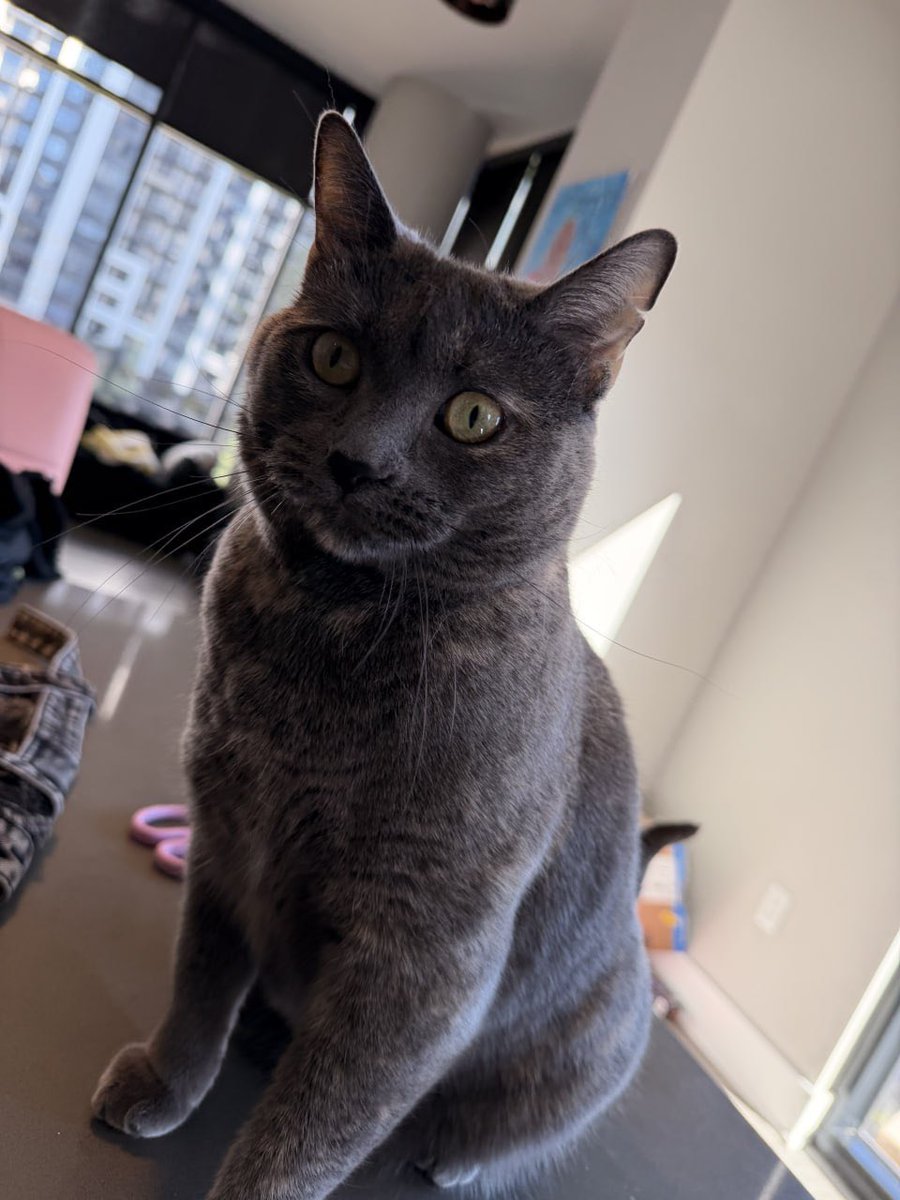 Rae Fencer tweet media