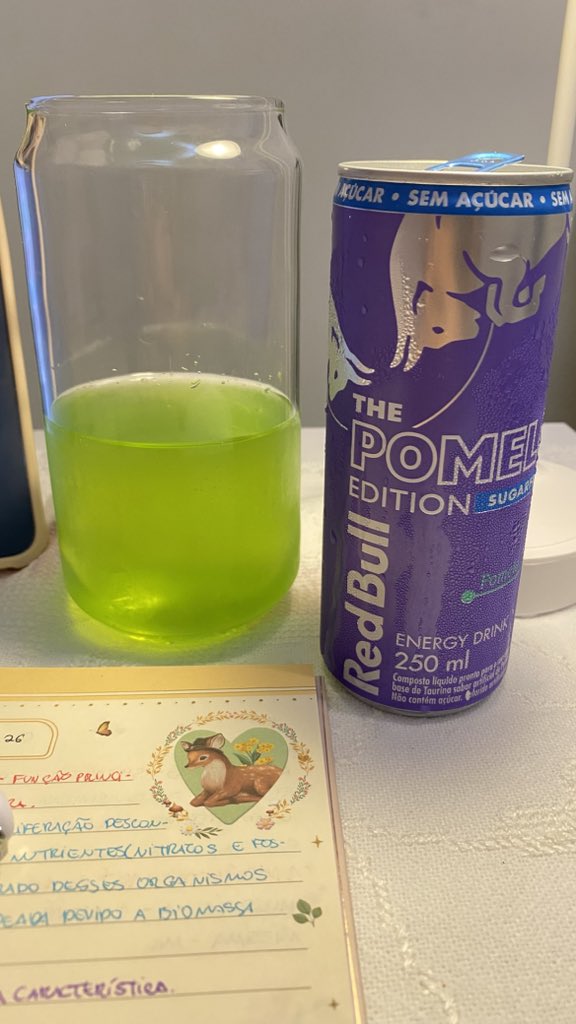 karoline 🩺 vai ser med ₊˚⊹₊ ⋆ tweet media