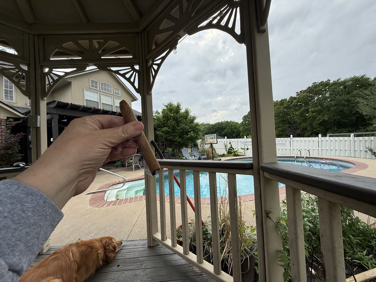 Catholic HODL ✝️🇺🇸🇻🇦⚡️ tweet media