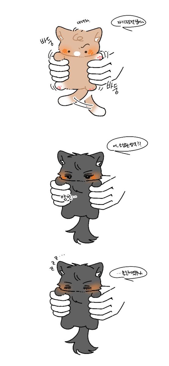 아기 고양이! 열심히 아기냥 띠솝이와 띠웅이를 그려보았습니다🫶🫶🫶
띠웅냥이 띠웅냥 같지 않아 조금 슬프지만🥹🥹🥹 spin-spin.com/q/69df5754f8f5…