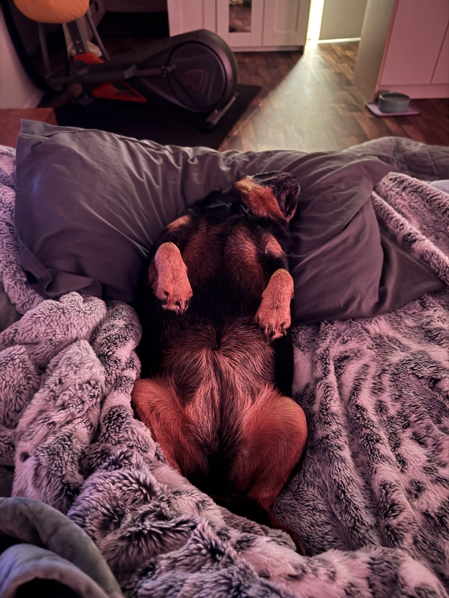 Susan Baker tweet media