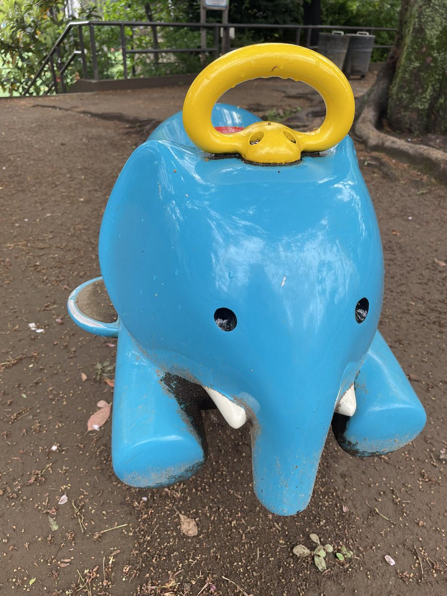 朝日と風に 乾かされる前の 皆さん 🌱✨

ﾂﾔﾂﾔですね〜🫧
ｿﾞｳさんも 心なし しっとり🐘🌟