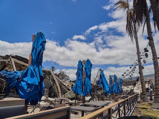 Mr. Nobody tweet media