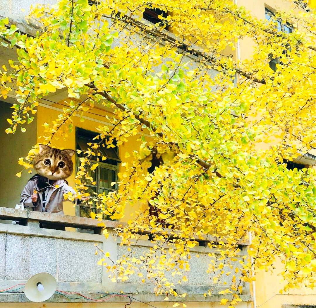 Edoh vincent tweet media