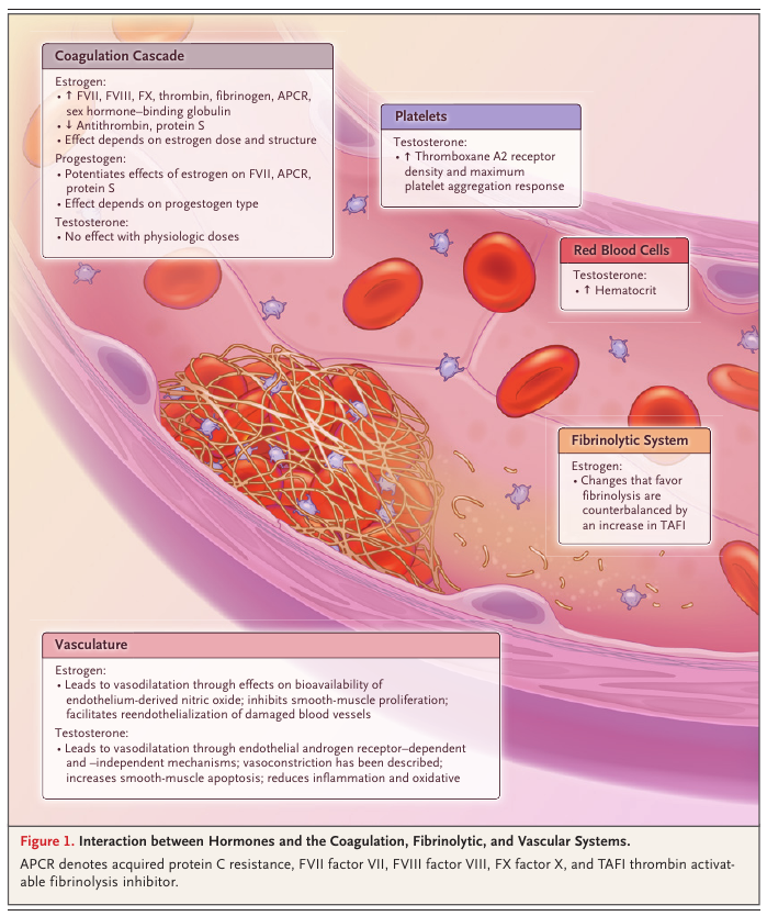 MHcsba's tweet image. New England Journal of Medicine (NEJM) 2026: Influencia de hormonas sexuales en el riesgo cardiovascular y trombótico

DOI:10.1056/NEJMra2202438
#MedEd #MedTwitter #MedX 
medicina-interna.org