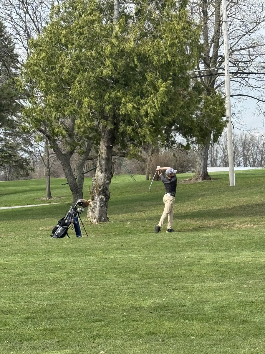 Olympia Spartans Golf tweet media
