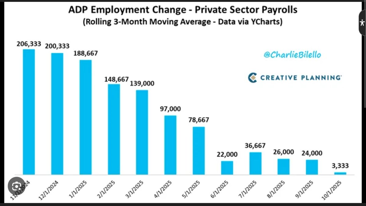 Millie Meow tweet media