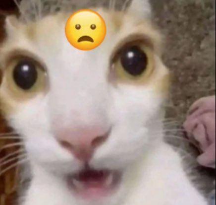 Chamelow tweet media