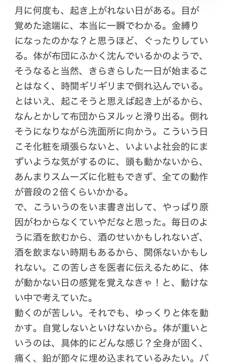 幸福な猫 tweet media