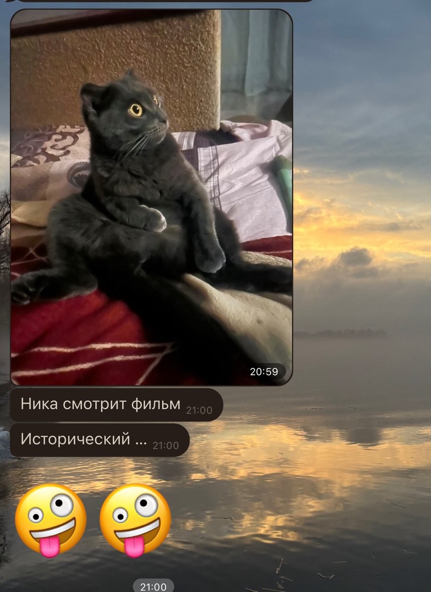 свиткрек67 #мяучело tweet media