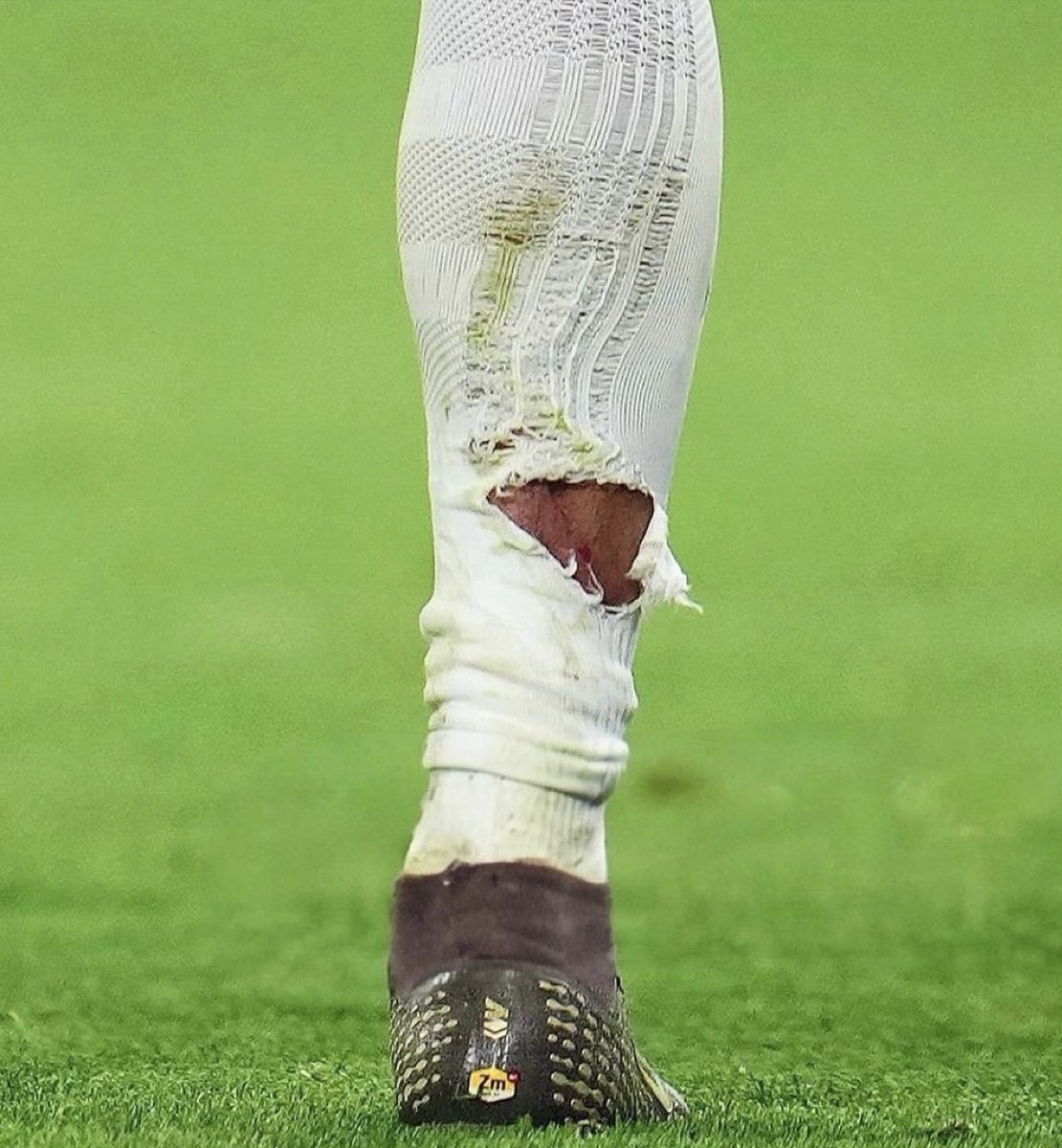 (fan) Aʟʙᴇʀᴛo tweet media