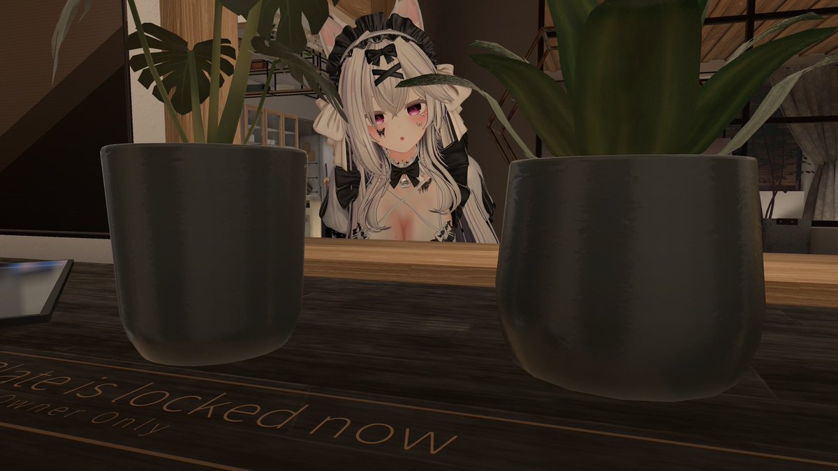 たっつぁん🦋 tweet media