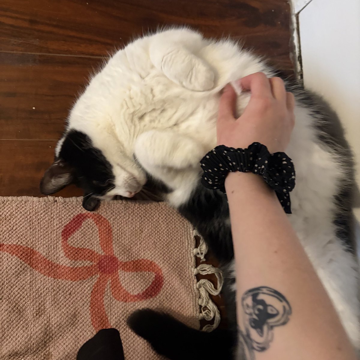 sydnee 🍓 tweet media