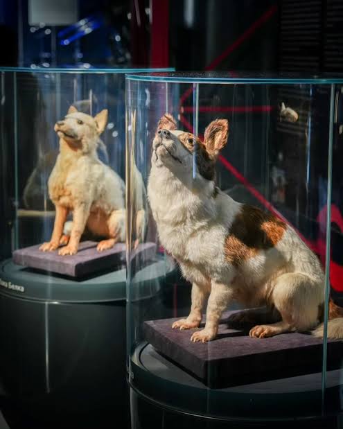 InsaneGraphics tweet media