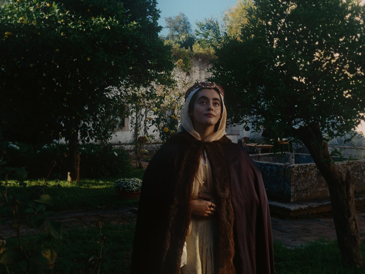 Criterion Collection tweet media