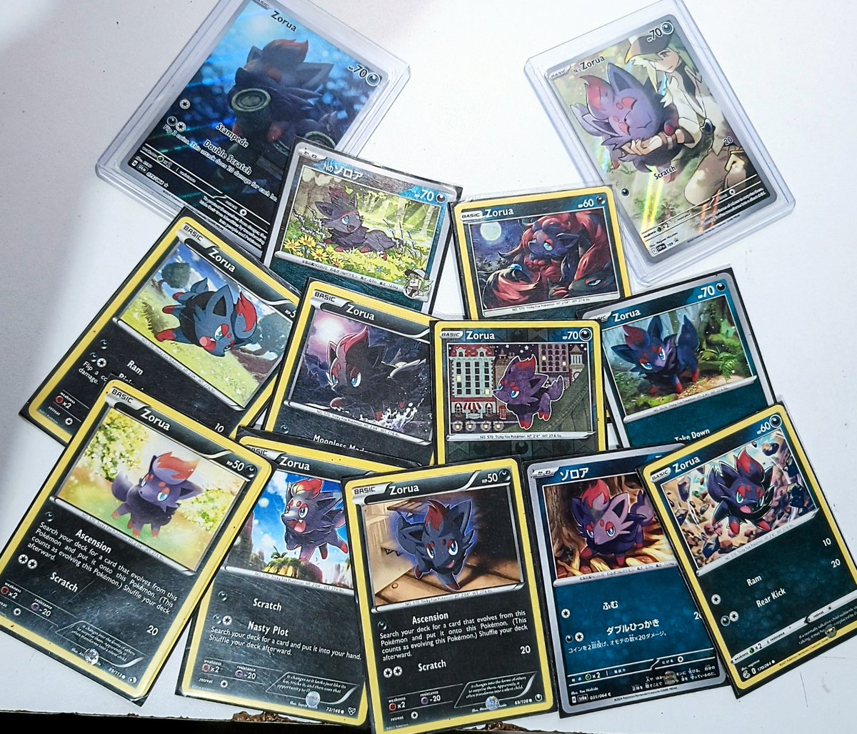 SapphUselessPan's tweet photo. My favorite man and my favorite fluffy brat 💜❤️

Shiny cardboard makes me happy 

#Pokémon #krsb #zorua #pkmn #tcg https://t.co/D3I9a65meE