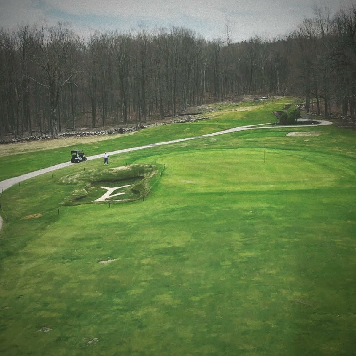 Campanelli Golf tweet media