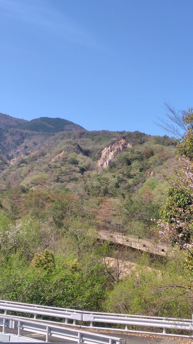 グレエス tweet media