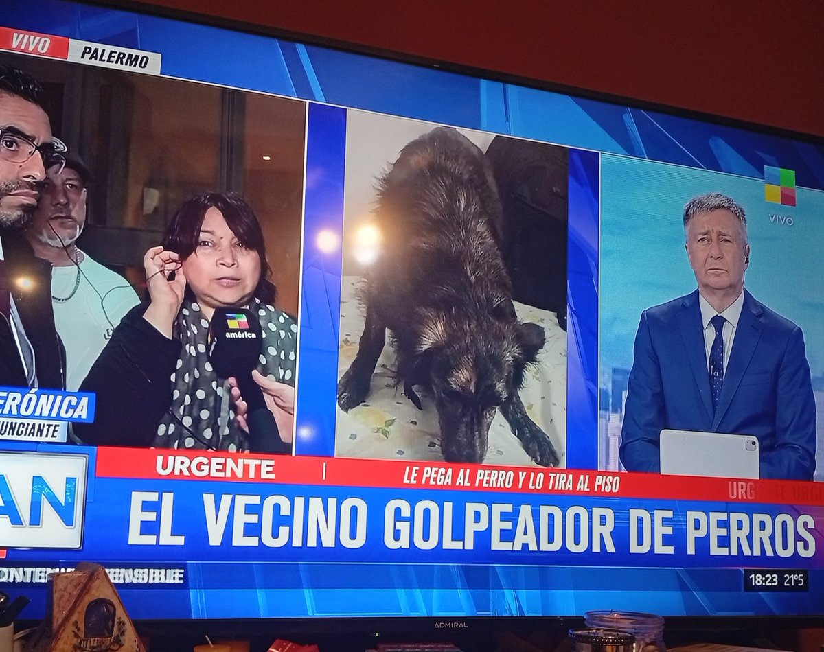 Patri Carolyn 🌷❤️ tweet media