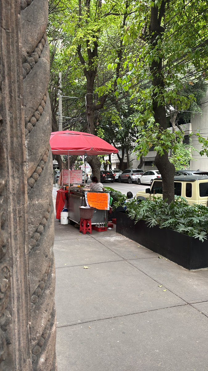 Mansacalab tweet media