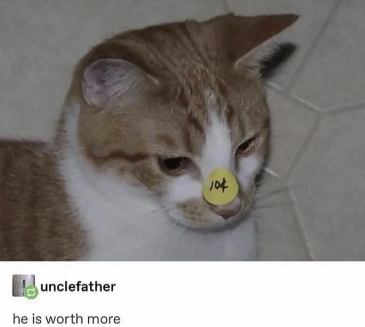 Respectful Memes tweet media