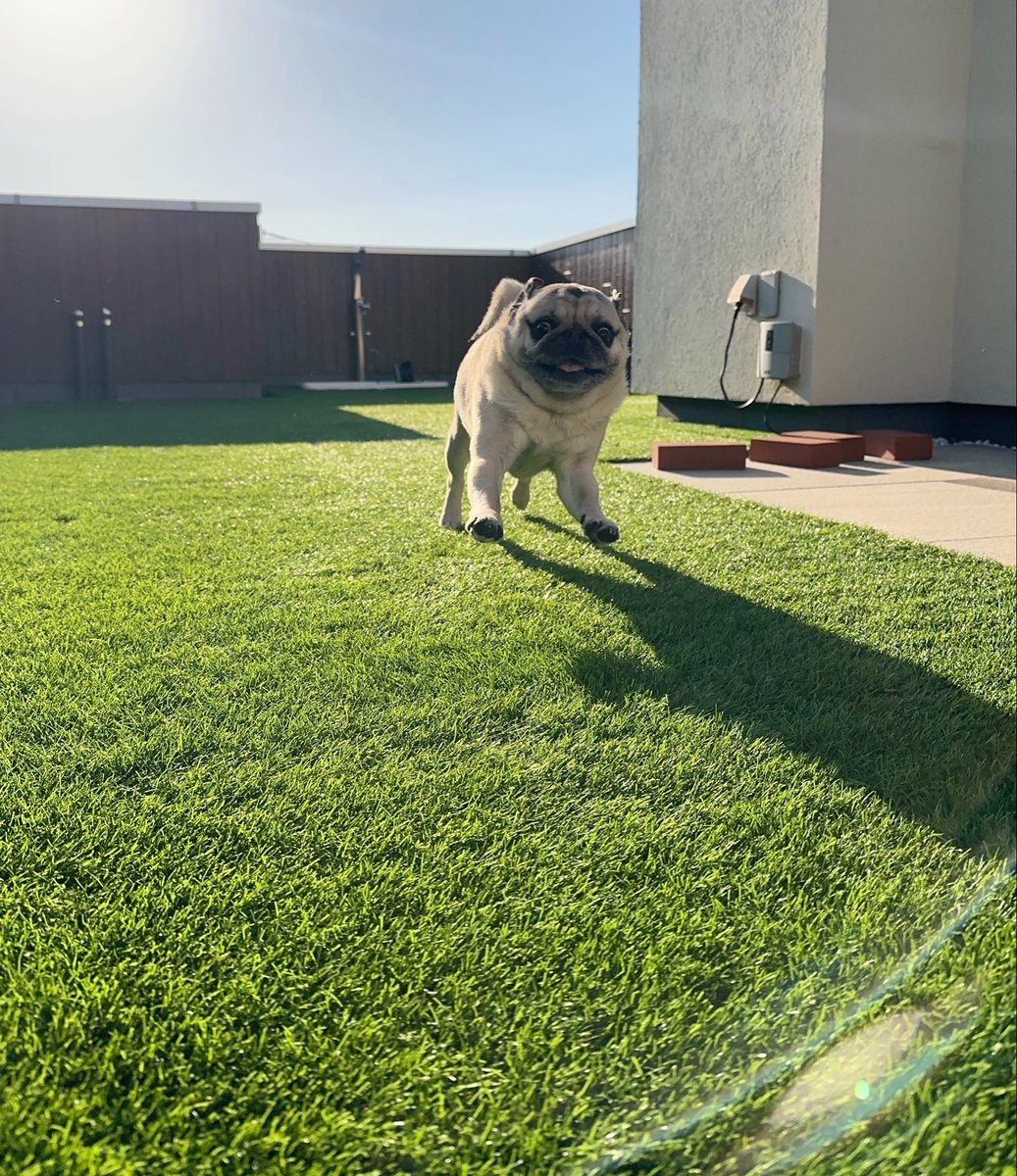 きたむら tweet media