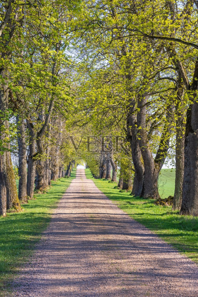 jaimal rawat tweet media