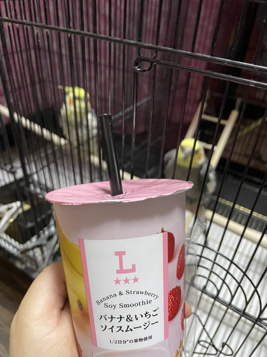 いんこらぶ(あ~ちゃん)🐥🫶💕︎︎ tweet media