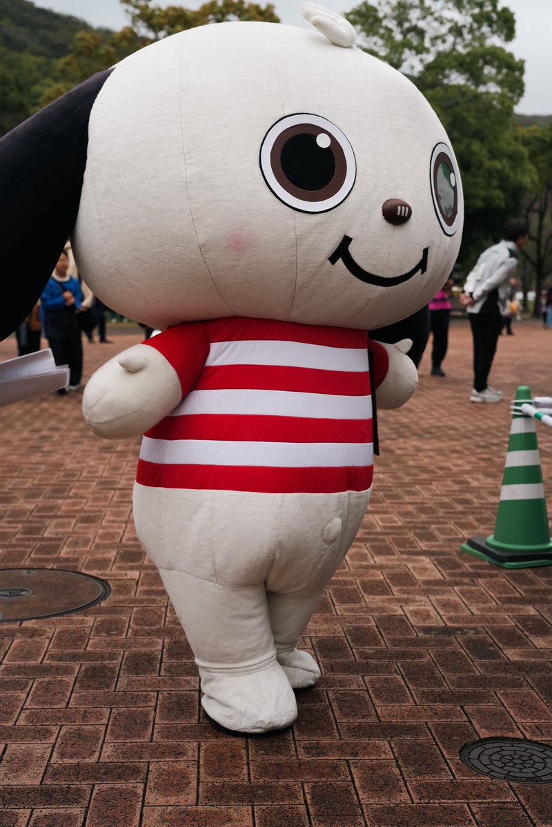 三菱重工相模原ダイナボアーズ tweet media