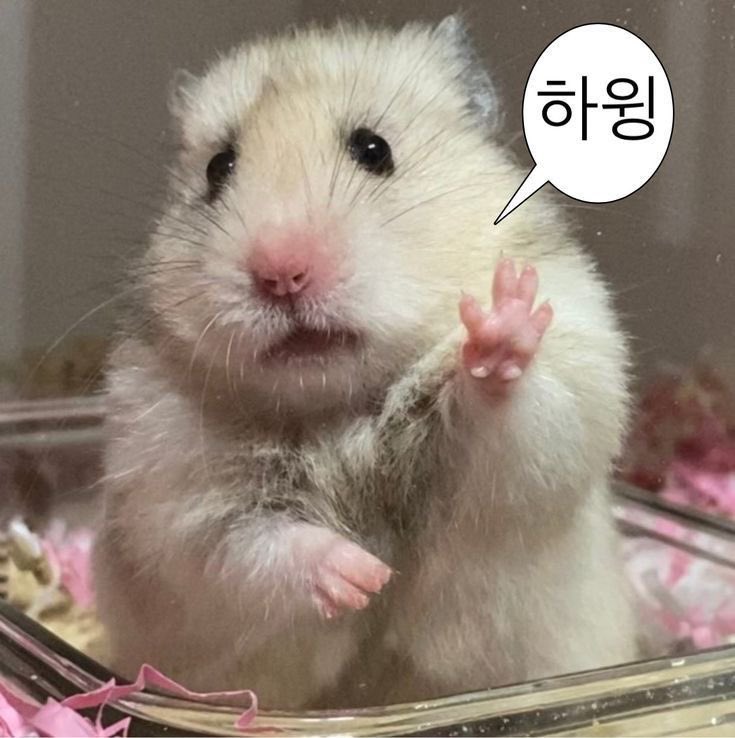 마늘 tweet media
