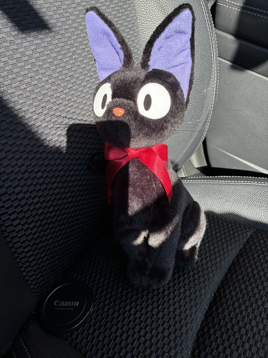 最近のオイラの相方笑